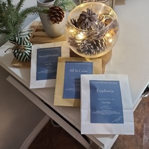 Handmade Pure Soy Wax Melt Pack with Wax Melter, All Natural Essential Oils